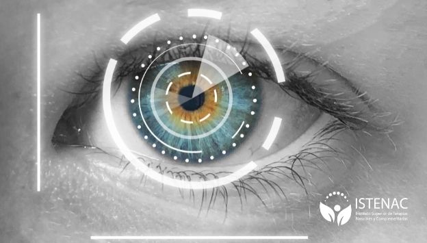 pasos-para-hacer-un-diagnostico-con-iridodiagnosis-NM
