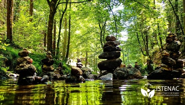 wu-xing-la-teoria-de-los-cinco-elementos-UM